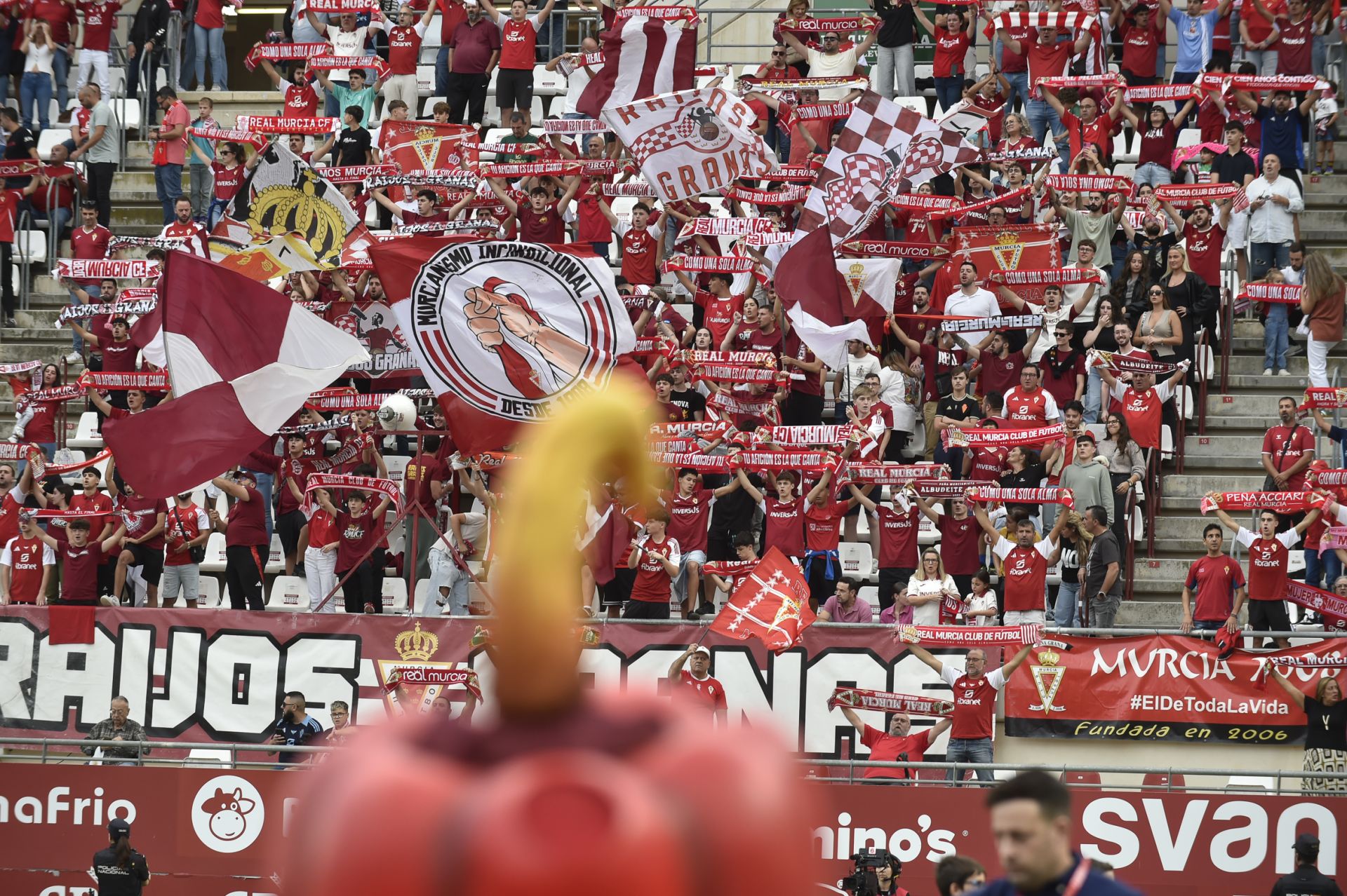 El Real Murcia se estrella ante el Ibiza, en imágenes