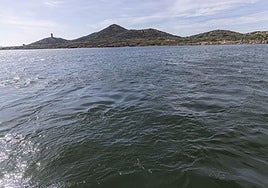 El estado del Mar Menor, este lunes.