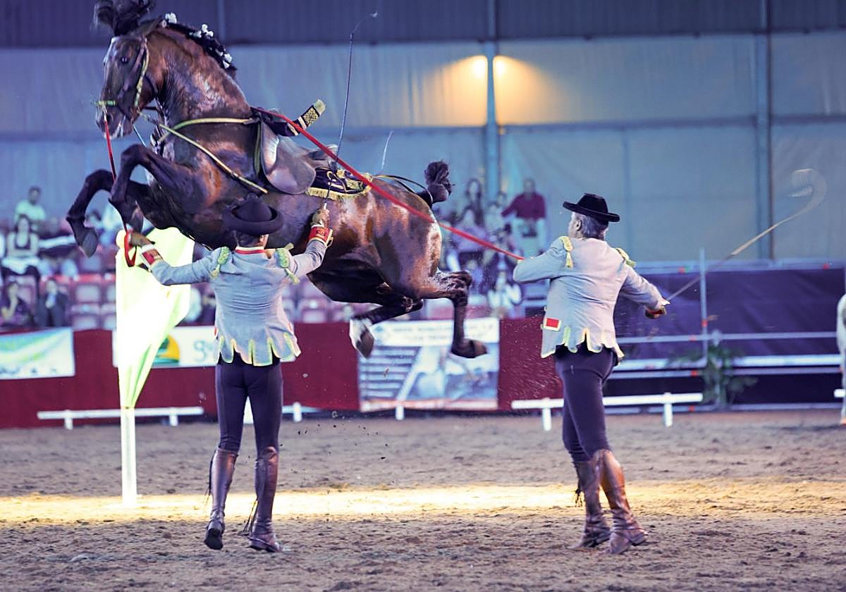 Exhibición de doma durante uno de los espectáculos de Fericab.