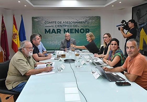 Reunión extraordinaria del Comité Científico del Mar Menor, ayer, en la sede de la Consejería de Medio Ambiente.