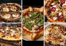 Celestial Mood, Guanciale Fusión, Apollo Creed, Perla Nera y La Reina Blanca.