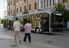 El 'tranvibús', este jueves, en la reunión del Consejo Social de la Ciudad.