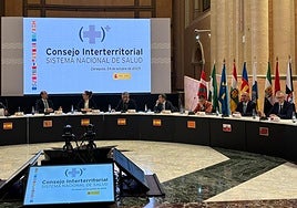 Reunión del Consejo Interterritorial del Sistema Nacional de Salud celebrado este viernes.