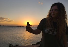 Anillamiento de aves a su paso por Isla Grosa