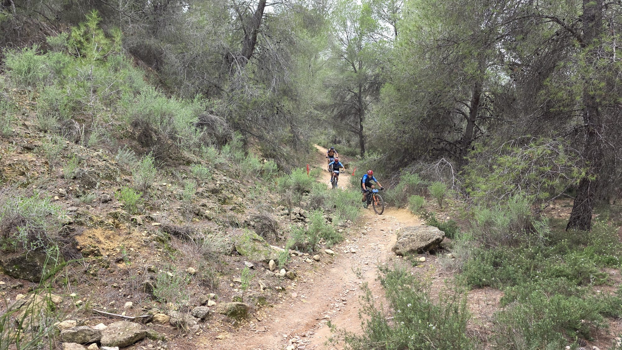 La Integral de la Cabra 2025, en imágenes