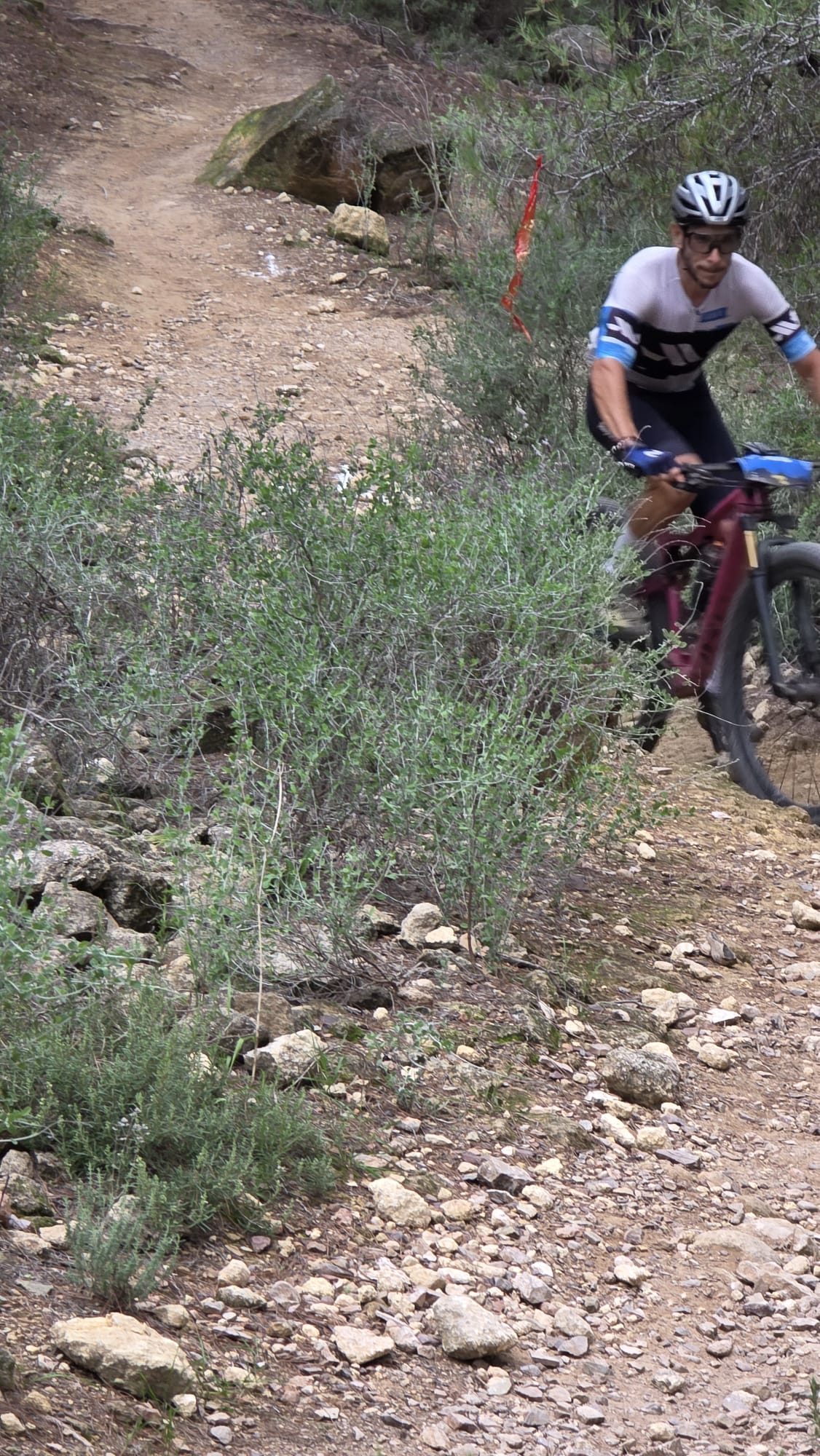 La Integral de la Cabra 2025, en imágenes