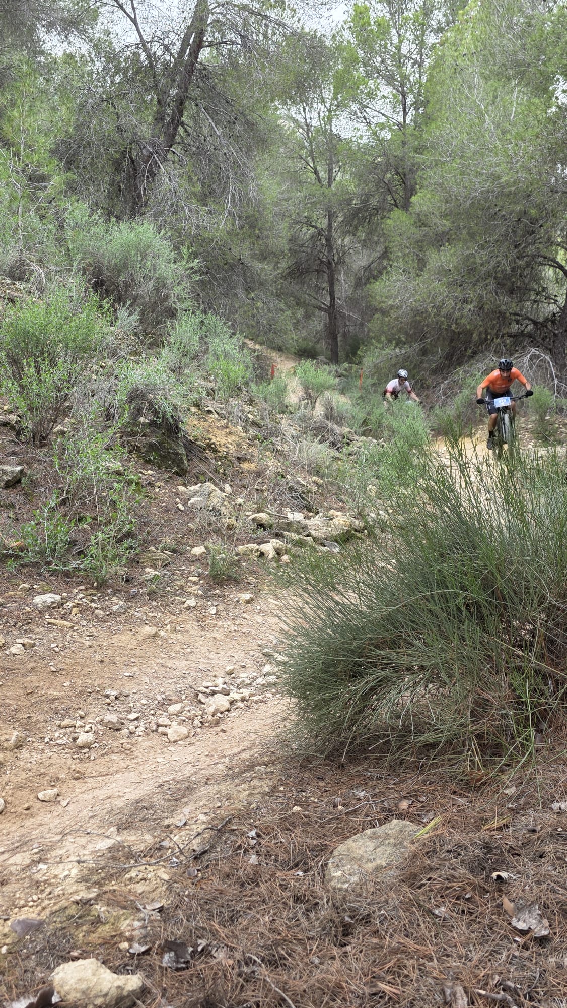 La Integral de la Cabra 2025, en imágenes