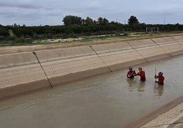 Miembros del dispositivo de búsuqeda rastrean el canal del Trasvase en Torre Pacheco.