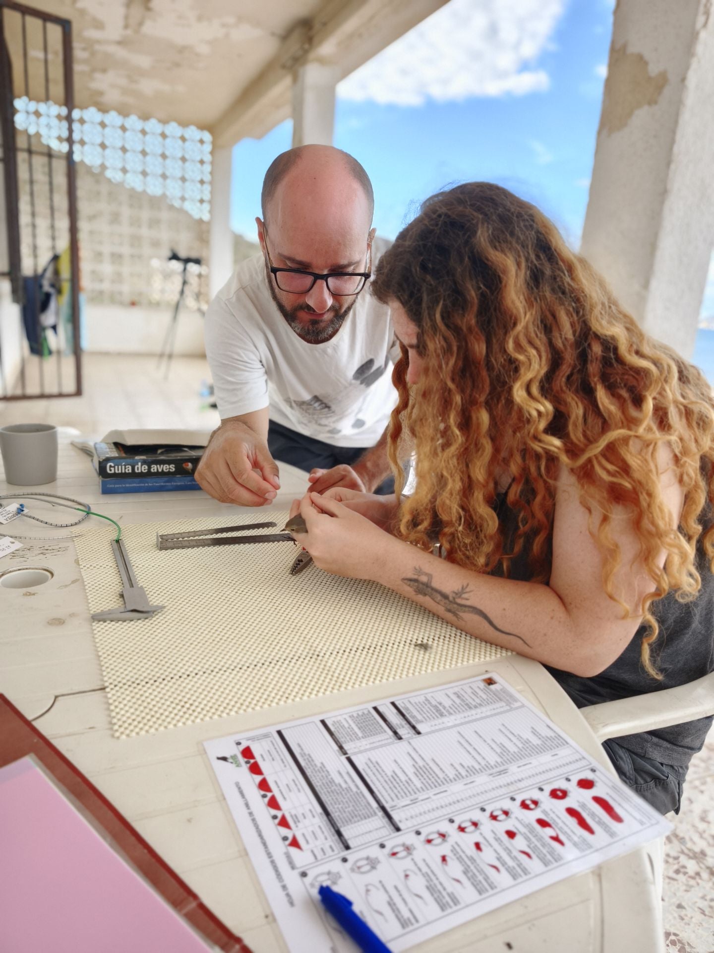 Anillamiento de aves a su paso por Isla Grosa