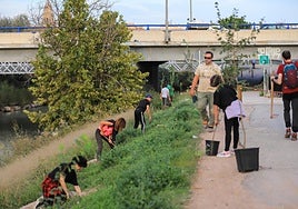 Jornada de plantación de arbolado junto al Segura.