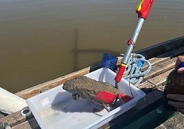 Recogida de lodos para análisis en la Albufera de Valencia.