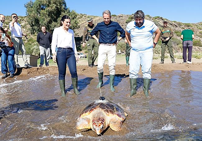 Liberación del ejemplar, este jueves, en Calnegre.