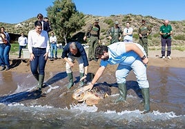 López Miras y Gil junto a la tortuga en el momento de su liberación en Calnegre.
