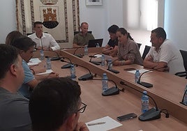 La concejala María Luisa Candel lee su carta de despedida, este jueves durante el Pleno.