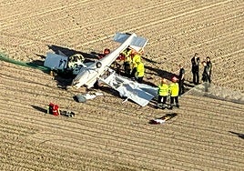 Efectivos de Emergencias y agentes de la Guardia Civil, junto a la avioneta siniestrada.
