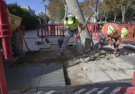 Operarios reparan las aceras del Paseo, este lunes.