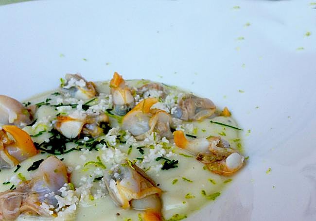 Crema de colinabo con berberechos.