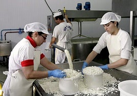 Producción de queso de cabra murciano en una quesería de Calasparra.