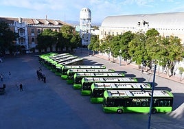 Los doce autobuses, este viernes, en Murcia.