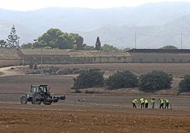 Una brigada de temporeros trabaja en unos cultivos junto al polígono de Los Camachos, en Cartagena.