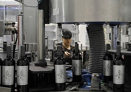 Rmbotellado de vino en una empresa de Murcia en una imagen de archivo.