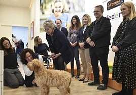 El momento de la entrega de uno de los perros a las familias.