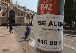 Carteles de alquileres de pisos en Murcia, en una imagen de archivo.