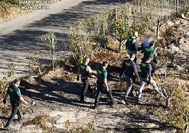 Los guardias civiles conducen al detenido a un coche patrulla tras interceptarlo.