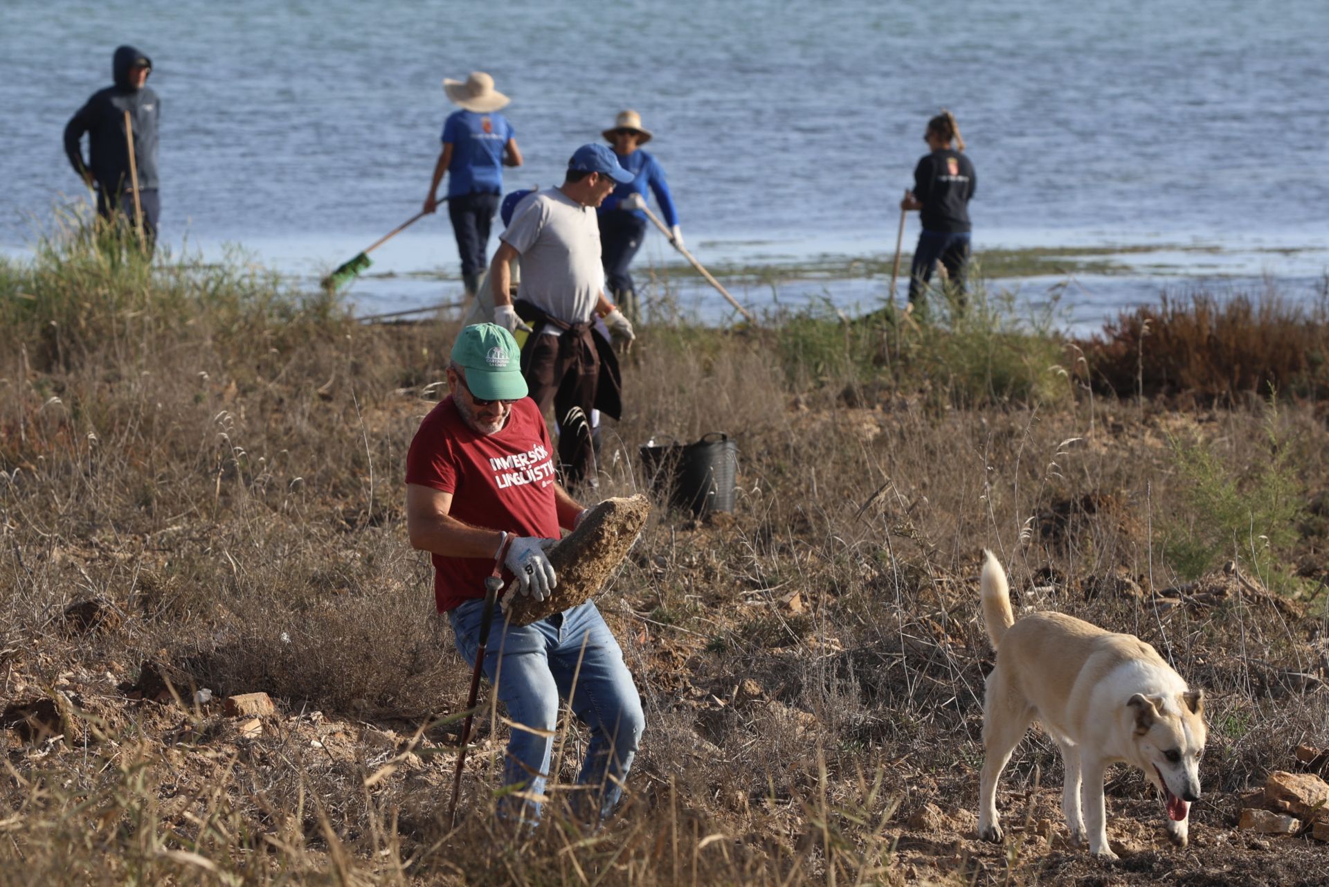 La recogida de basura en el paraje natural Menhir del Rame, en el Mar Menor, en imágenes