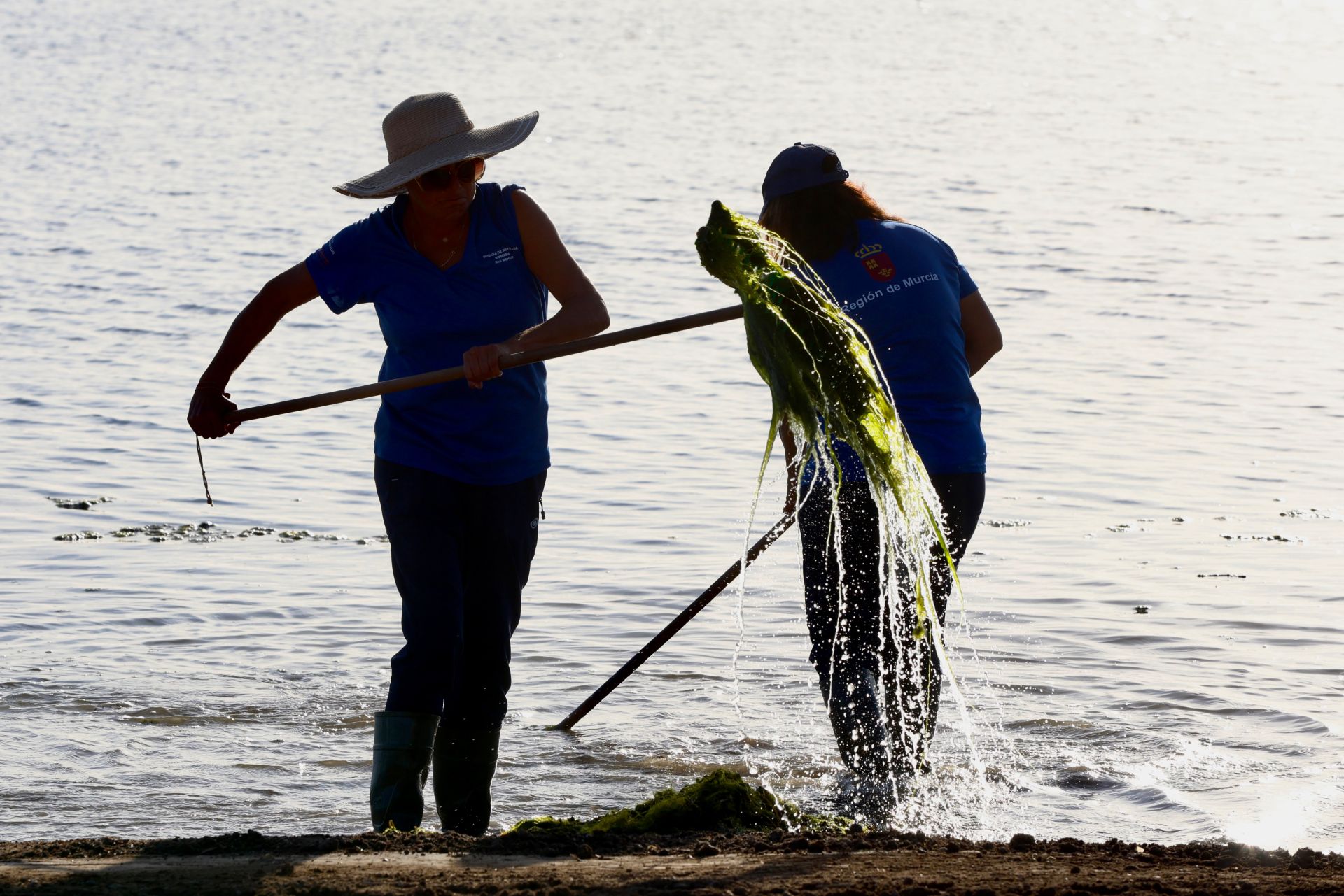 La recogida de basura en el paraje natural Menhir del Rame, en el Mar Menor, en imágenes