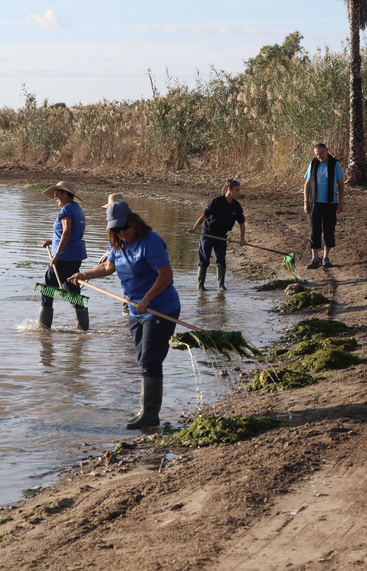 La recogida de basura en el paraje natural Menhir del Rame, en el Mar Menor, en imágenes
