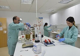 Investigadores en un laboratorio de la Región de Murcia.
