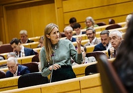 Sara Aagesen durante la sesión plenaria en el Senado de este martes.