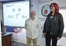 La presentación del estudio, este martes, en el Colegio de Enfermería.
