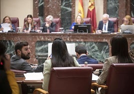 Los parlamentarios, durante la sesión plenaria de este miércoles.