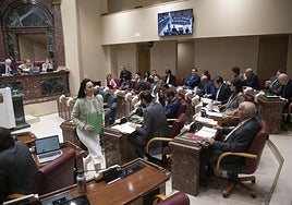 Un momento de la sesión plenaria celebrada este miércoles.