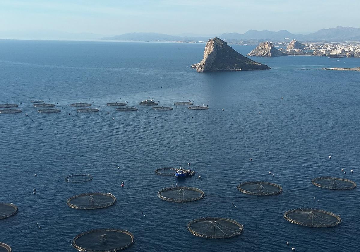 Una de las imágenes, captada en Águilas, de las que se podrá disfrutar en la exposición.