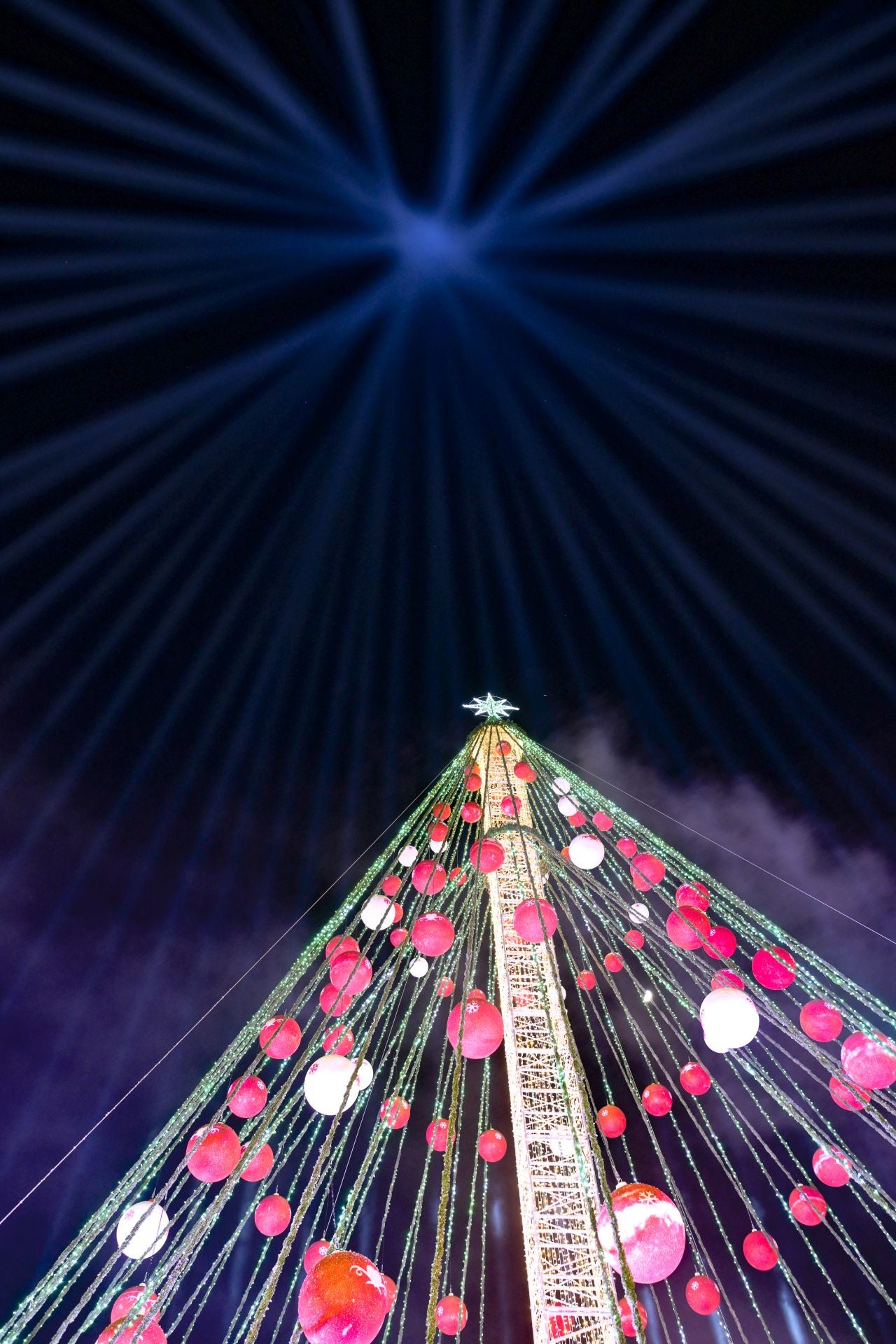 El encendido del árbol de Navidad de Murcia, en imágenes