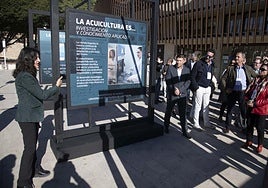 Las imágenes de la exposición 'La acuicultura es...' en el Puerto de Cartagena