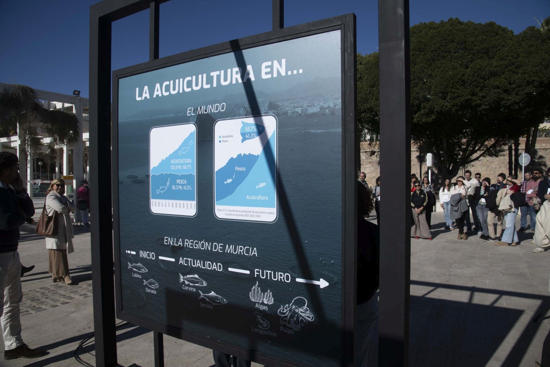 Las imágenes de la exposición &#039;La acuicultura es...&#039; en el Puerto de Cartagena