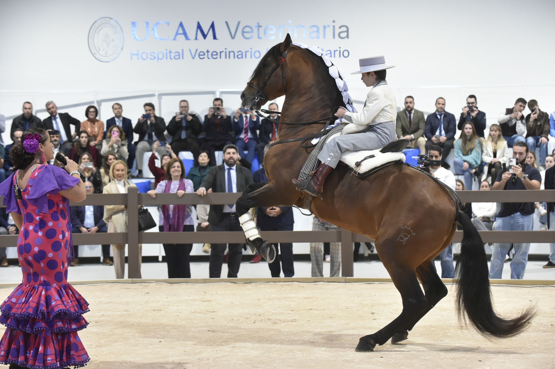 La inauguración del Hospital Veterinario de la UCAM, en imágenes