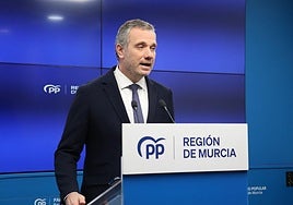 Joaquín Segado, durante la rueda de prensa de este martes.