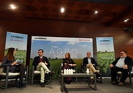 Unidos. Beatriz Romero moderó, este martes, la mesa redonda con Pablo Bielsa, Lorena Ruiz, José Fco. Martínez y Miguel Ángel Jiménez en el Hotel Nelva.