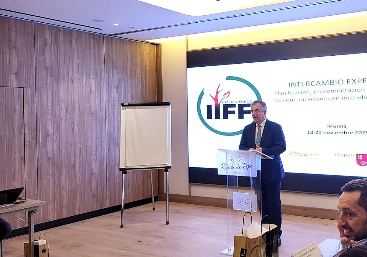 La Región de Murcia mejora la eficacia en la extinción pese a triplicar el número de incendios forestales en 2025 en temporada alta