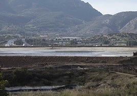 Una de las balsas de residuos tóxicos de Zinsa.