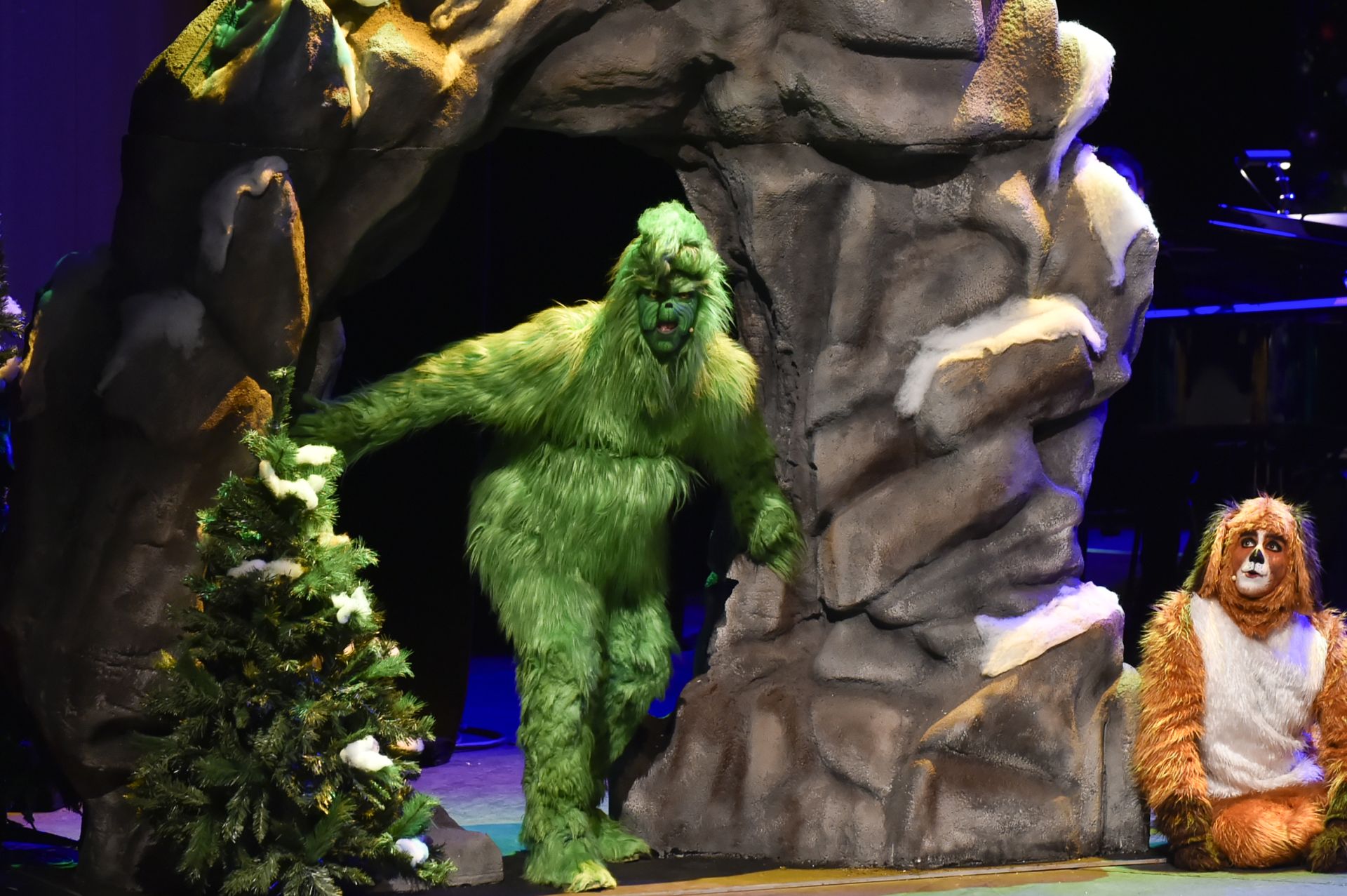 &#039;El Grinch&#039; más sensacional en Murcia