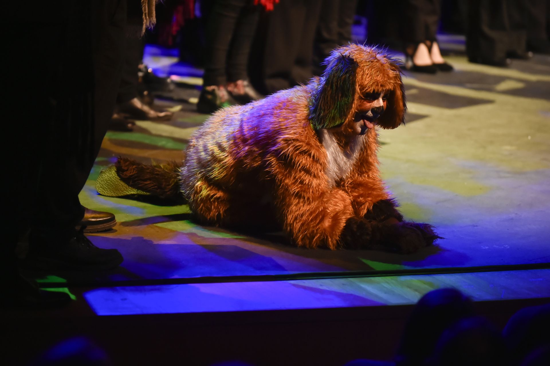 &#039;El Grinch&#039; más sensacional en Murcia