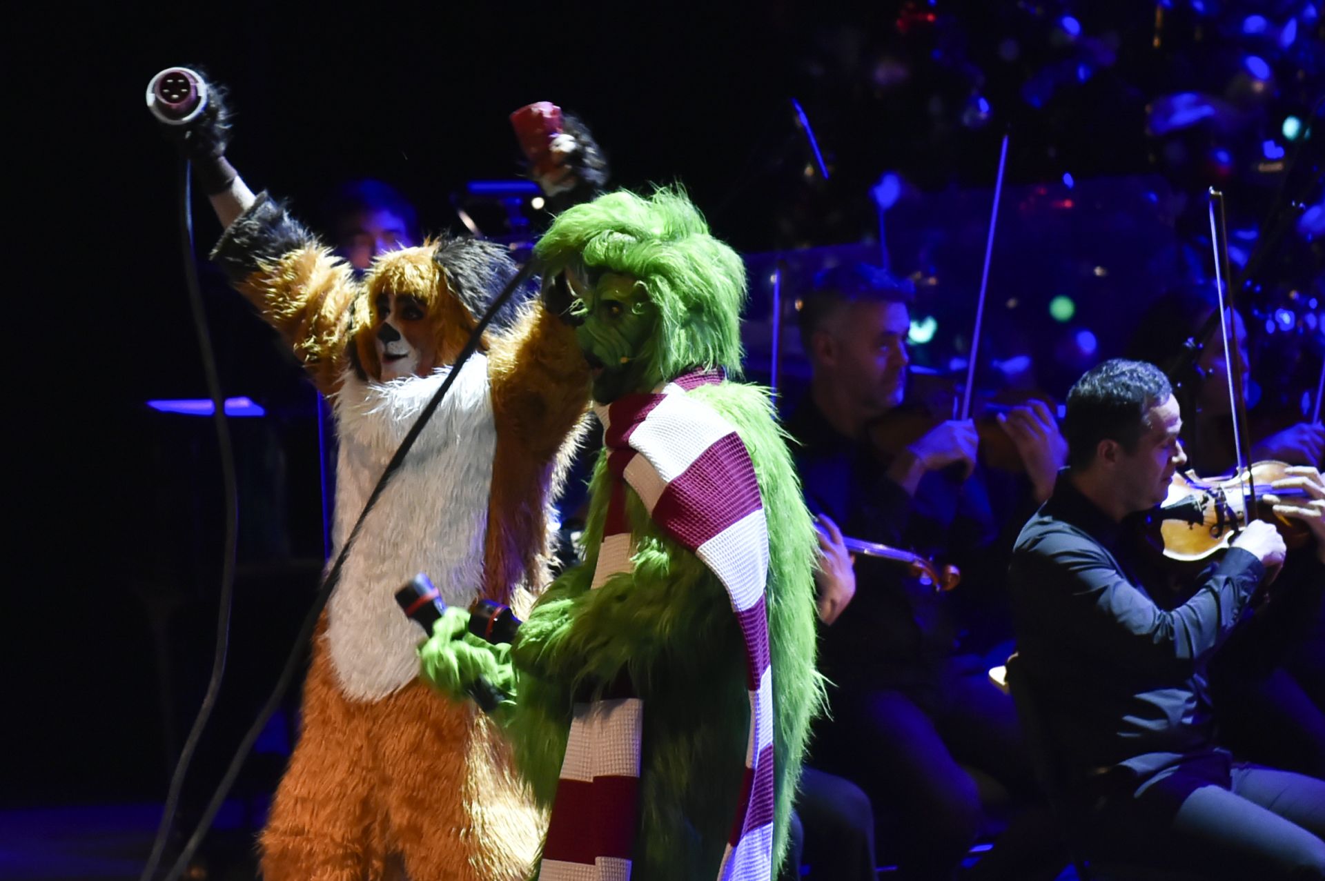 &#039;El Grinch&#039; más sensacional en Murcia