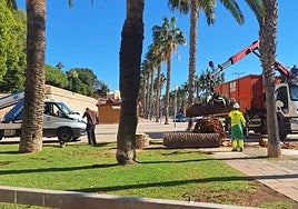Operarios de Parques y Jardines cargan el tronco de la palmera talada en un camión.