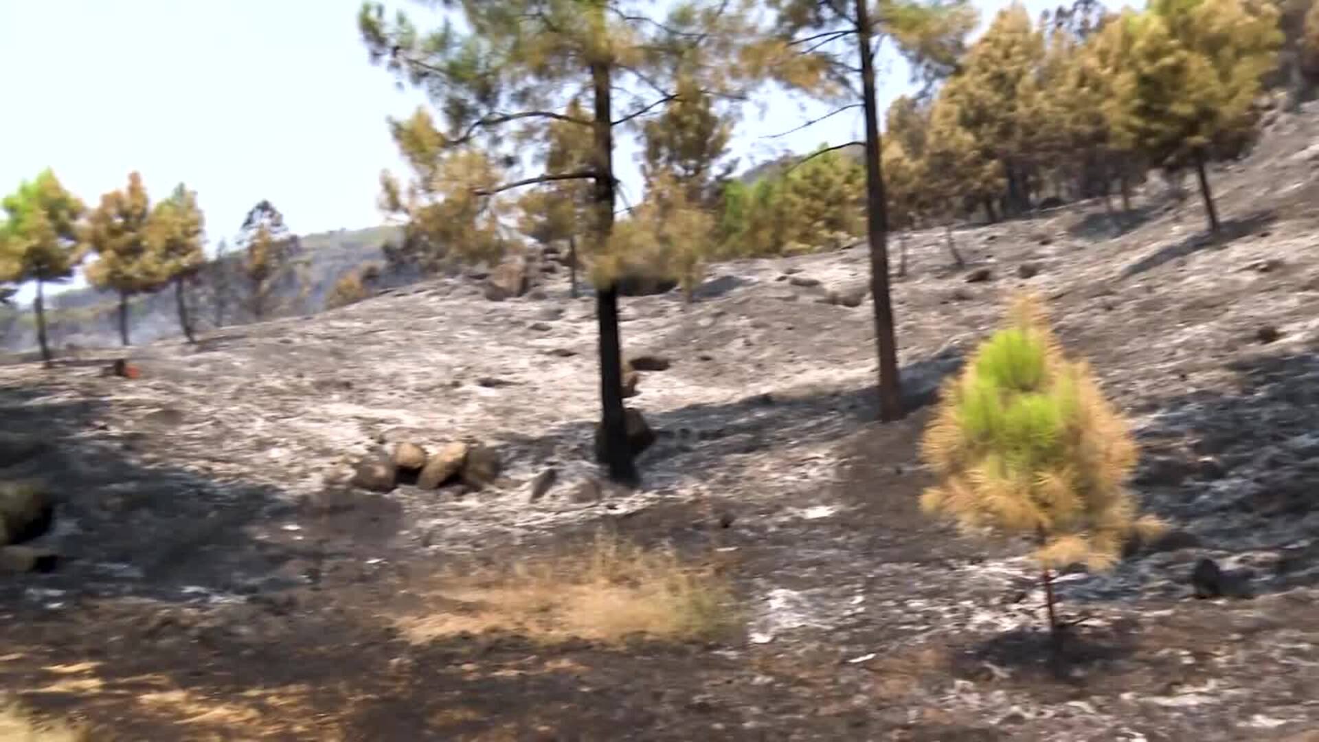 El fuego quemó en julio en España casi la misma cantidad de hectáreas que en el resto del año